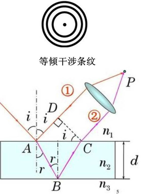 圖4：水凝膠薄膜的原位干涉測量示意圖